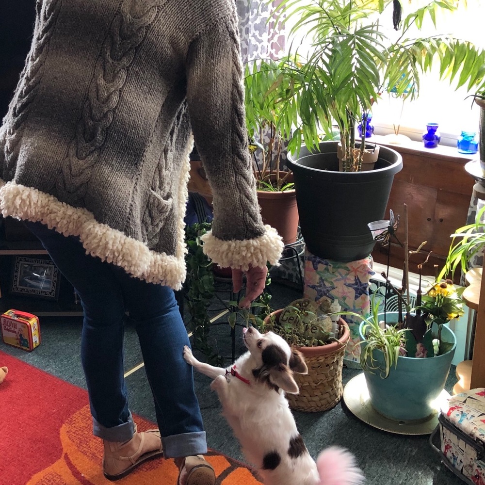 💯o/o WOOL jacket - Picture 4 of 8